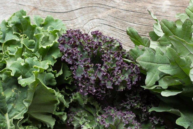 three types of kale leaves lined up on gray background