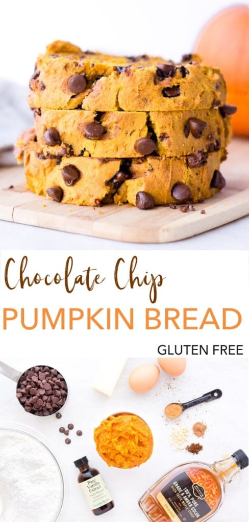 chocolate chip gluten free pumpkin bread