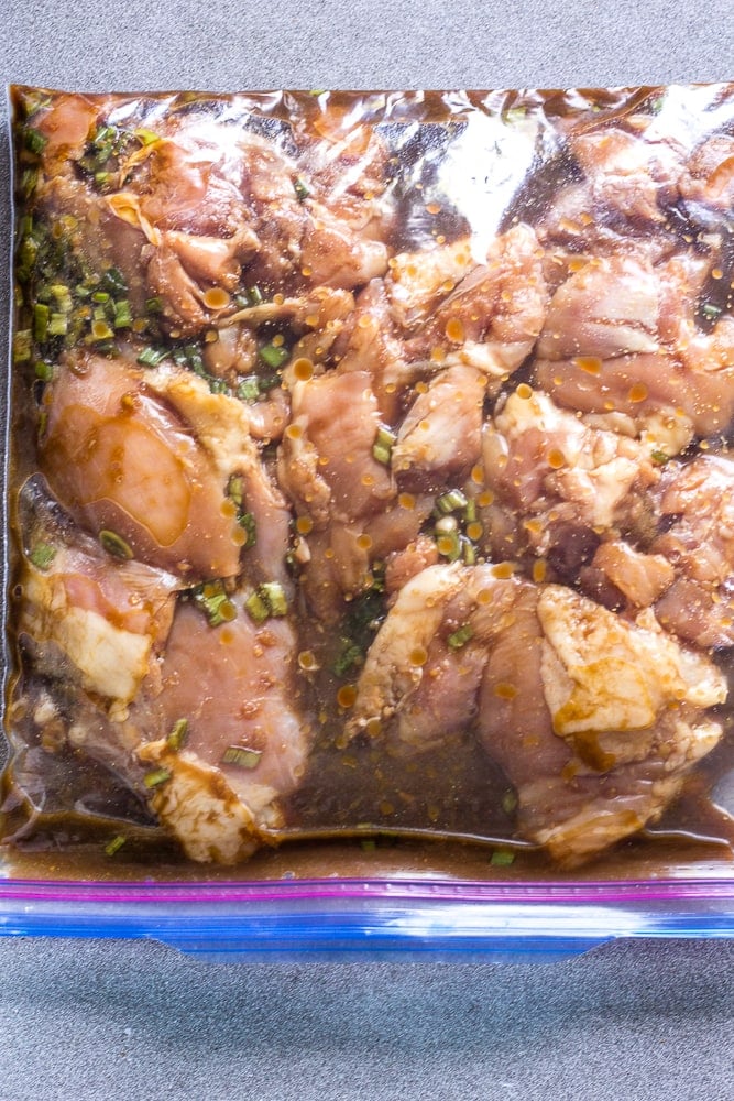 A  closed ziploc bag with chicken thighs in a gluten free teriyaki marinade on a gray countertop.