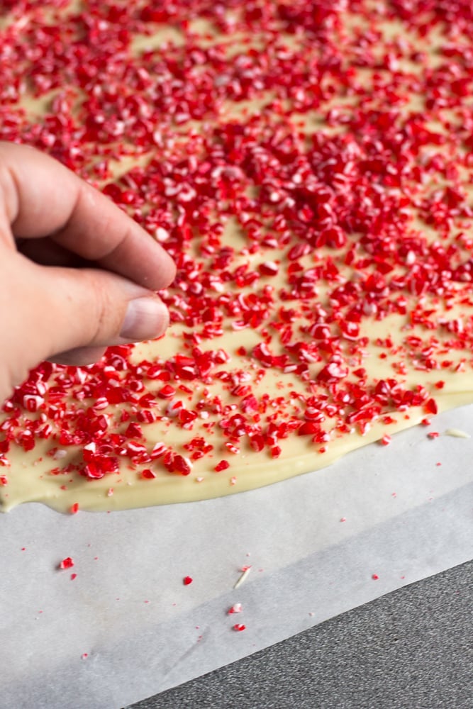 A hand sprinkling red and white peppermint bits onto some spread out white chocolate.