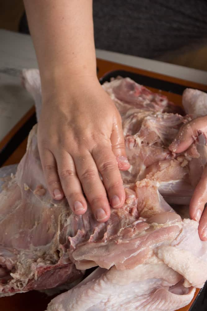 Hands rubbing salt on the inside of a spatchcocked turkey.