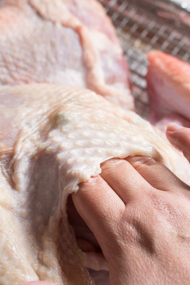 Rubbing herbed ghee under the skin of a raw turkey with a hand.