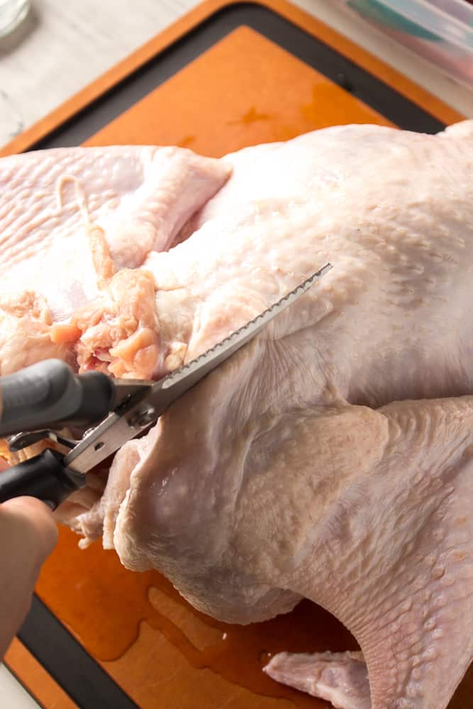 cutting one side of the backbone out of a turkey with poultry shears
