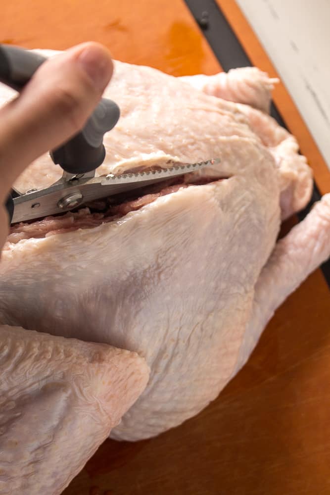 cutting the backbone out of a turkey with shears
