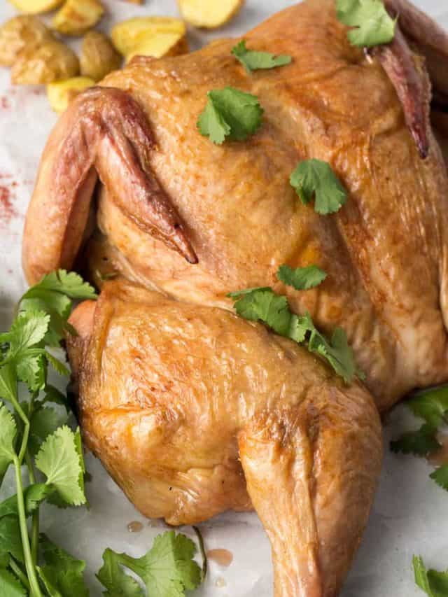 Recipes for Leftover Roasted Chicken Story
