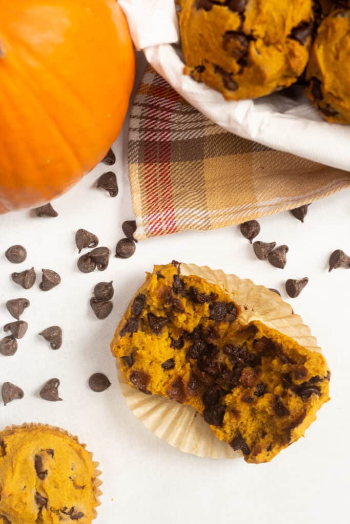A pumpkin chocolate chip muffin torn in half next to chocolate chips, a small pumpkin, and other muffins.