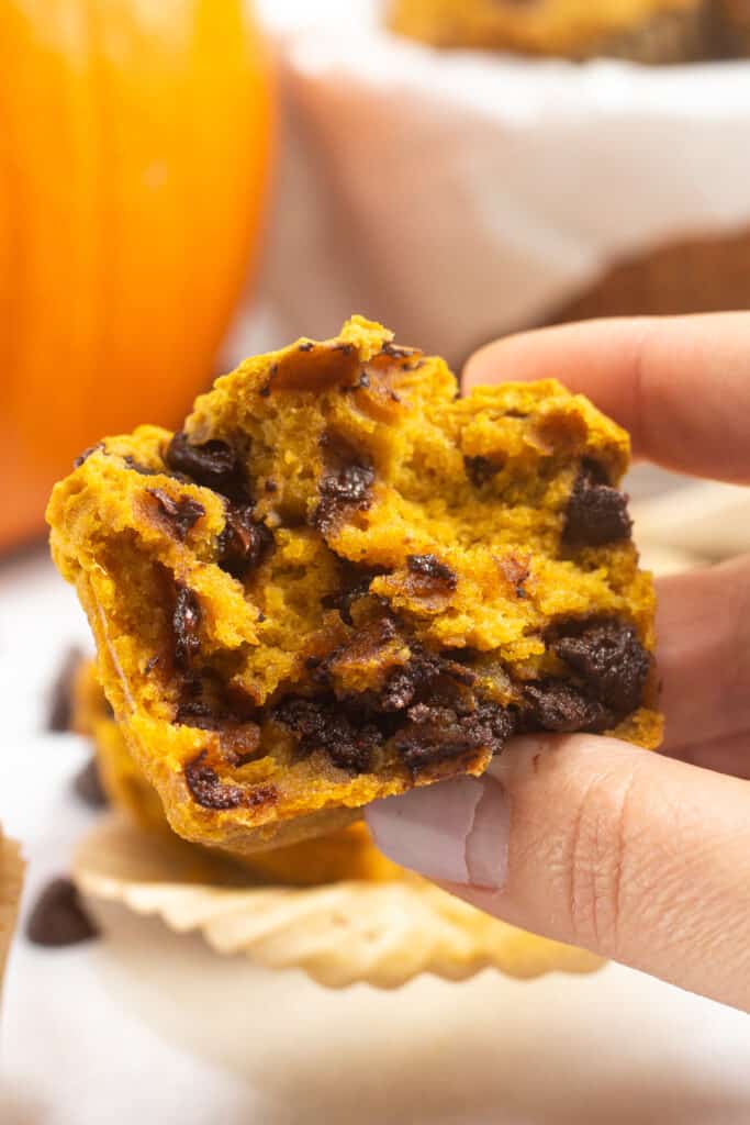 Close up of half a gluten free pumpkin chocolate chip muffin held in a hand