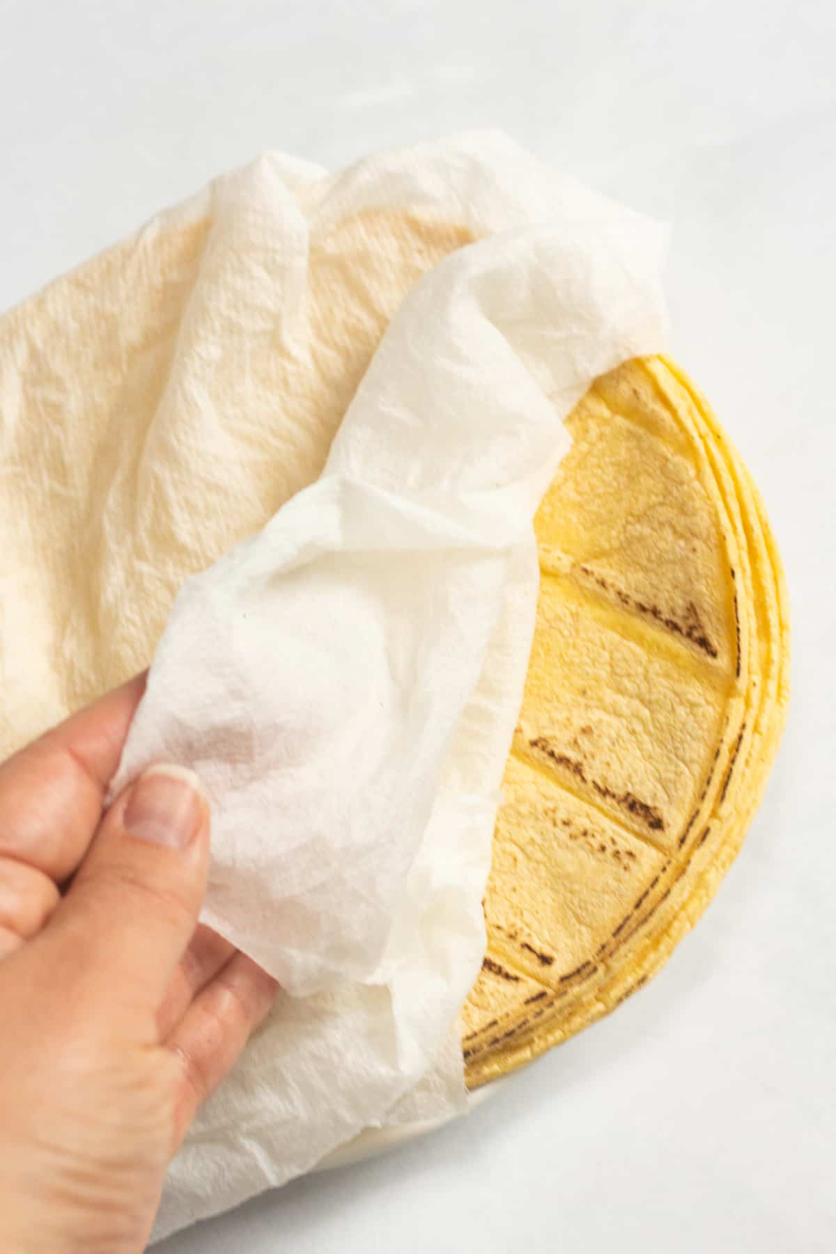 A hand folding a damp paper towel over a stack of corn tortillas.