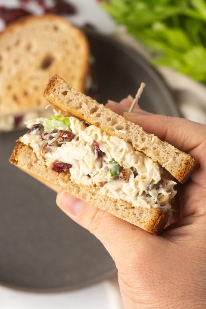 A hand holding a chicken salad sandwich