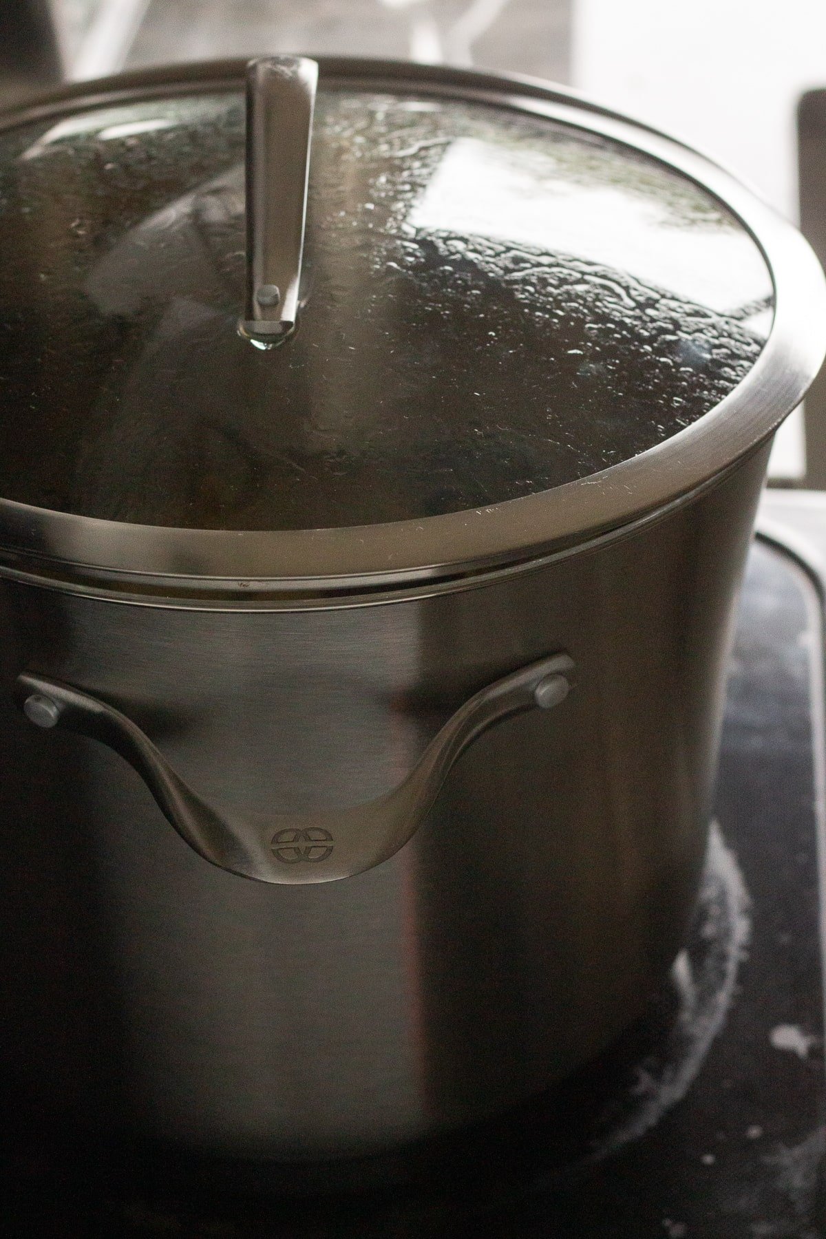 A large stock pot cooking on a stovetop.
