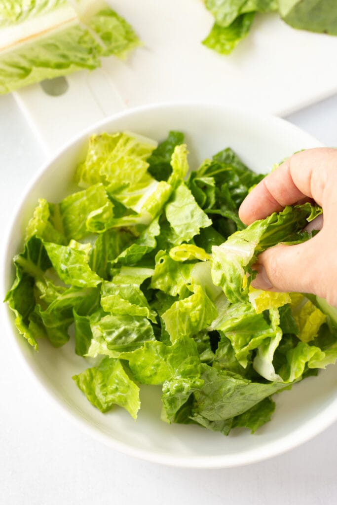 Close up of a hand putting chopped romaine lettuce into a large white low salad bowl.